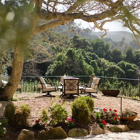 Quinta Da Bella Vista - Historic Home And Farm Sintra Exteriör bild