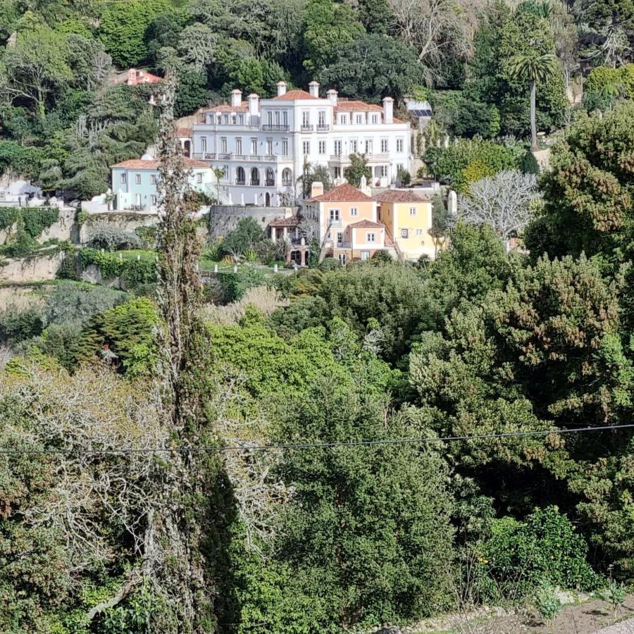 Quinta Da Bella Vista - Historic Home And Farm Sintra Exteriör bild
