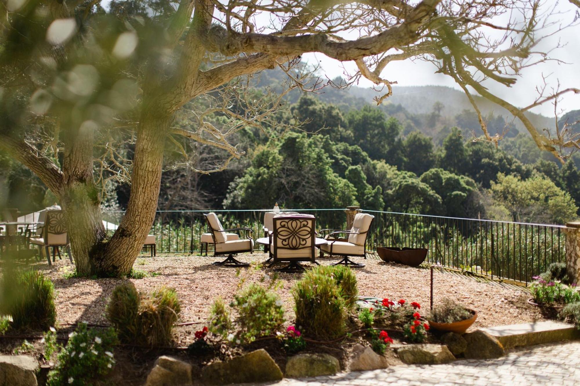Quinta Da Bella Vista - Historic Home And Farm Sintra Exteriör bild